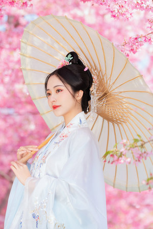 成全在线观看免费全集高清